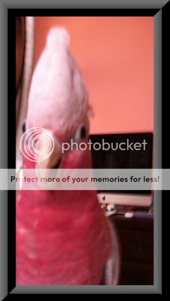 b4cf68ab.jpg