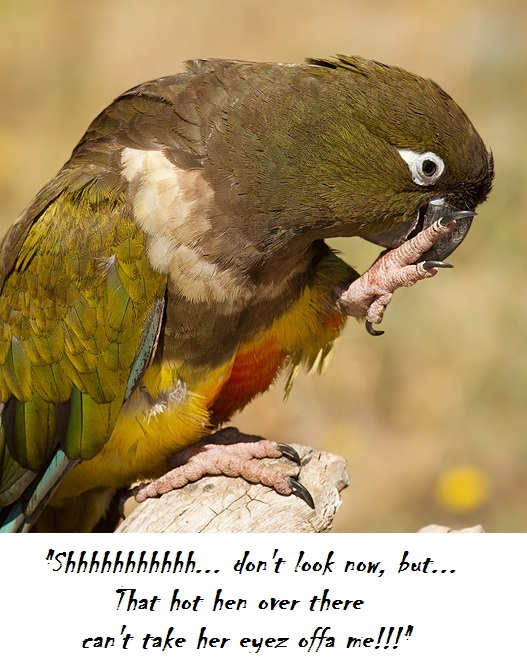 KyCn2UH.jpg