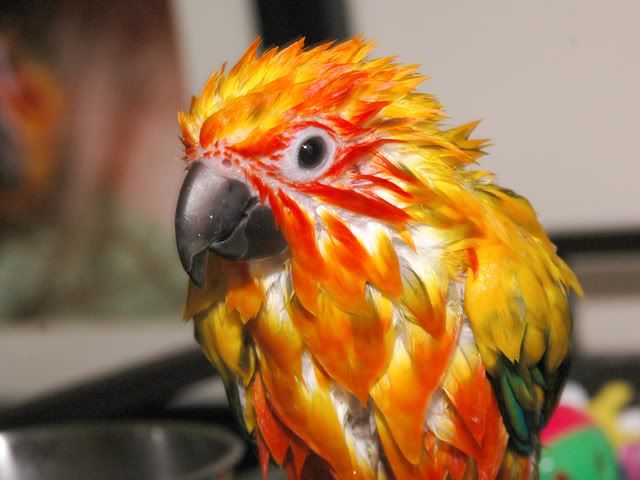 DSC_5346.jpg