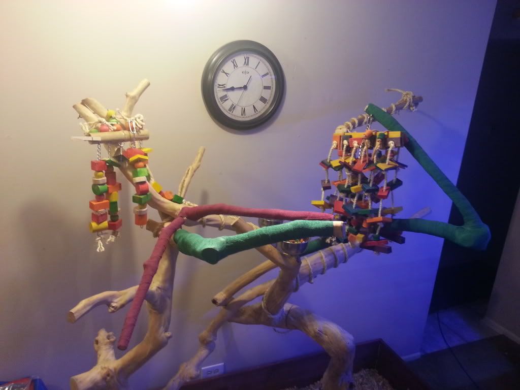 20130227_194430.jpg