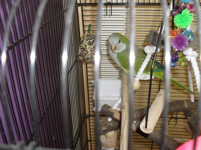 campics104.jpg