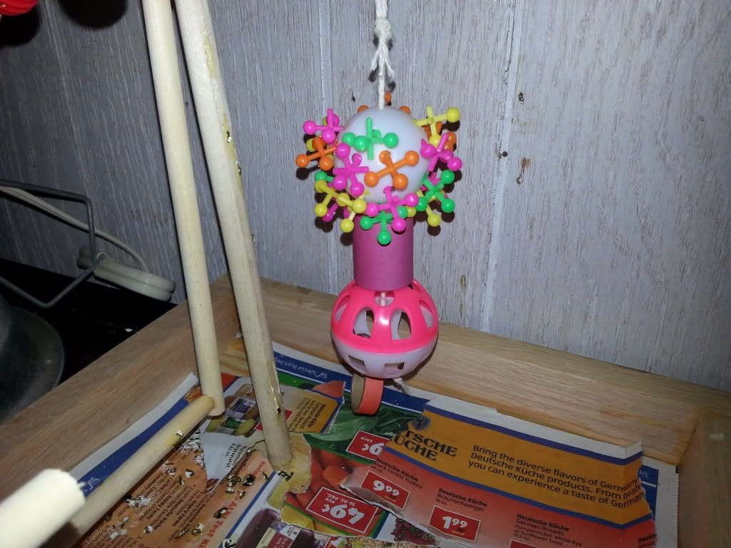 20131109_155305_zpsc77f0190.jpg