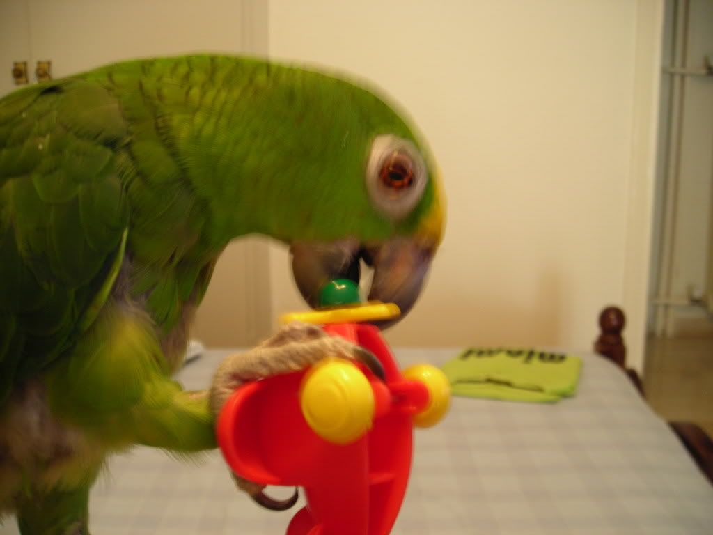 DSCN0403.jpg