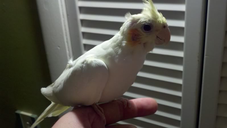 2011-11-18_02-00-26_854.jpg