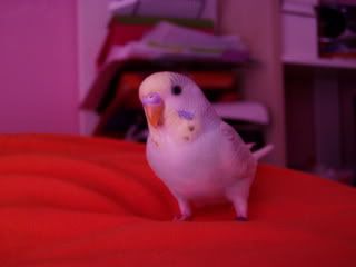 Picture001-1.jpg