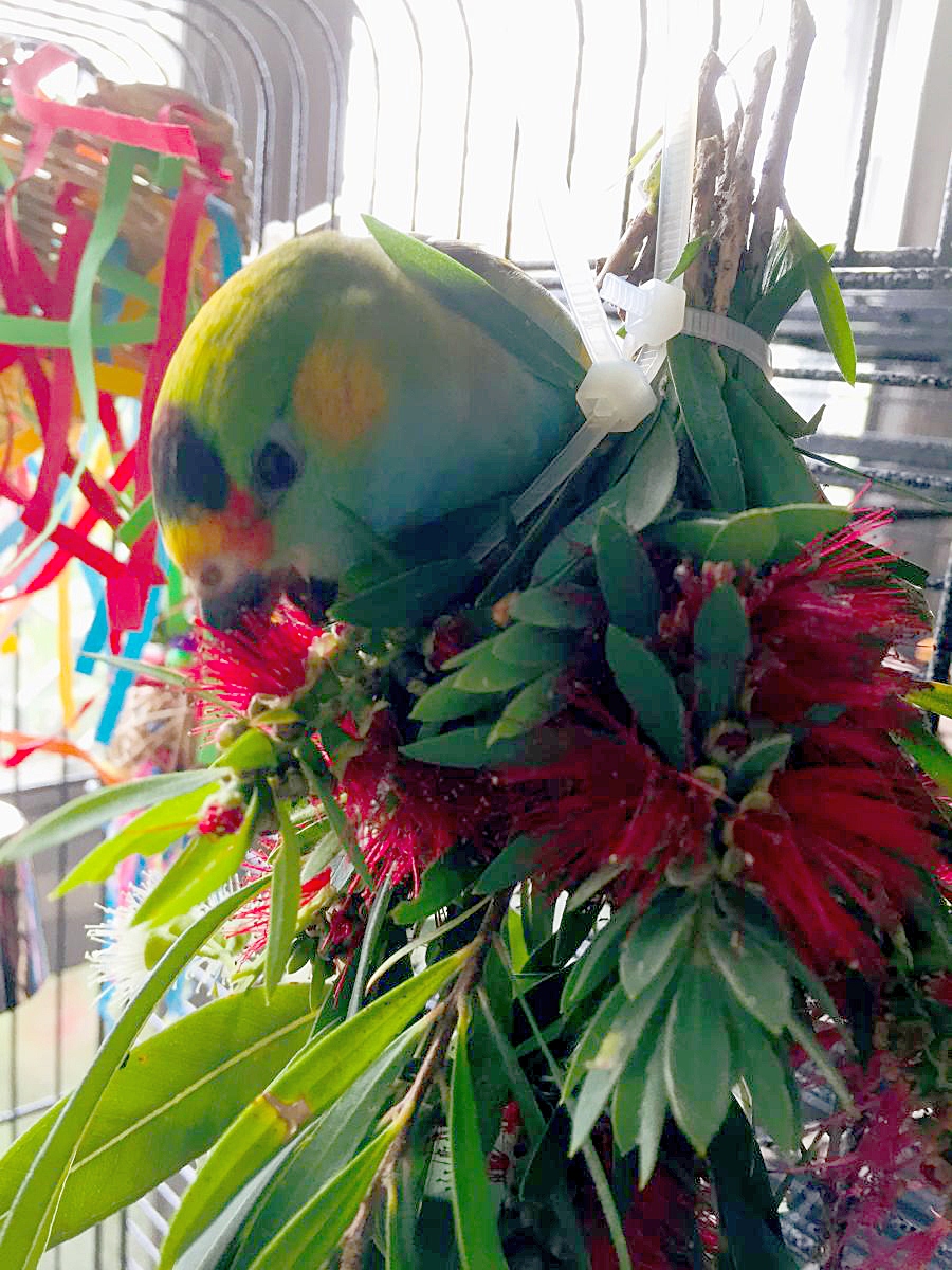 laprincipessa.flowers.jpg