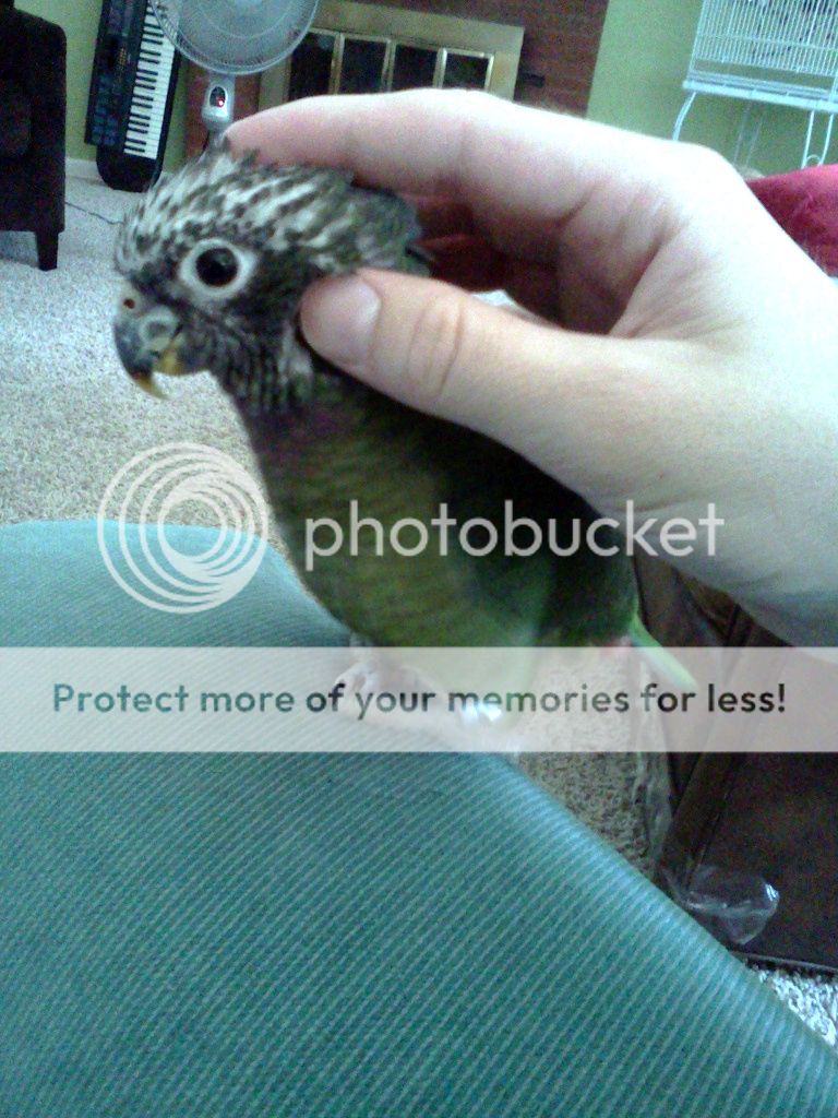 IMG_20120901_132012.jpg