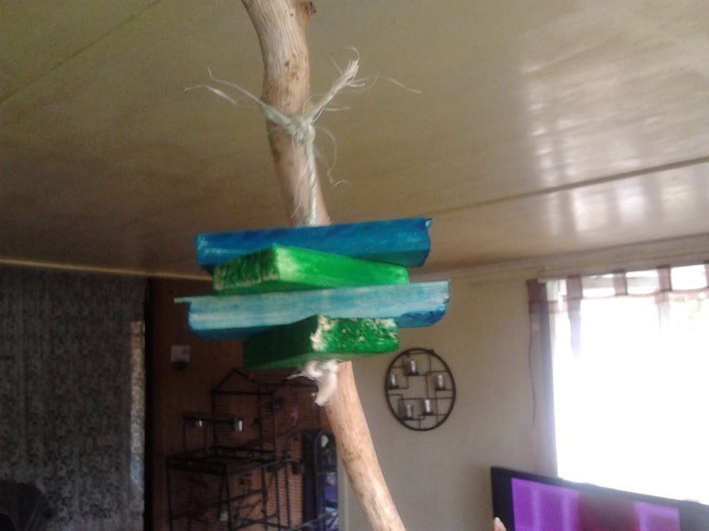 2013-03-19114321_zpscbd12674.jpg