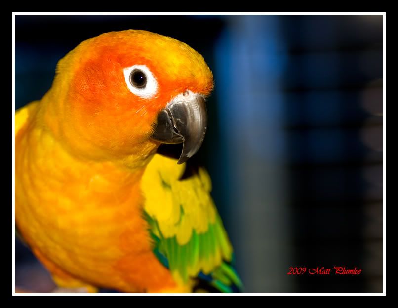 4-19-09.jpg