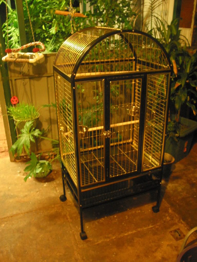 dogsandbirdcages020.jpg