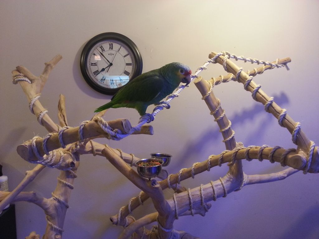 20130120_185346.jpg