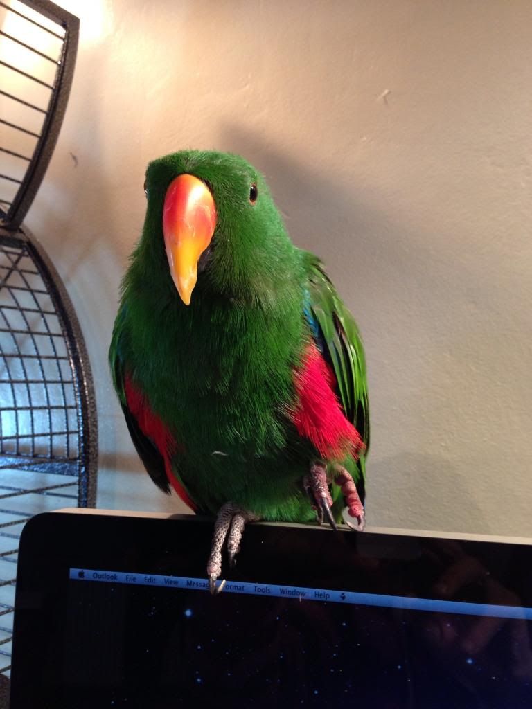 image_zpsd3f3f2c0.jpg