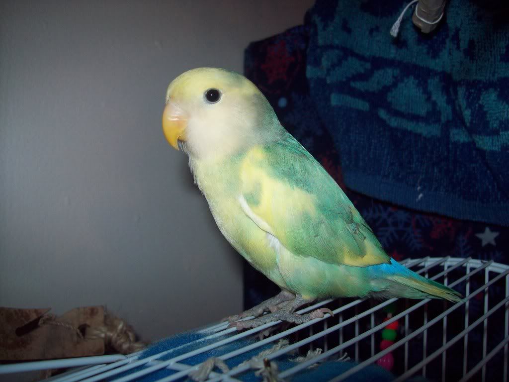 310_7416.jpg