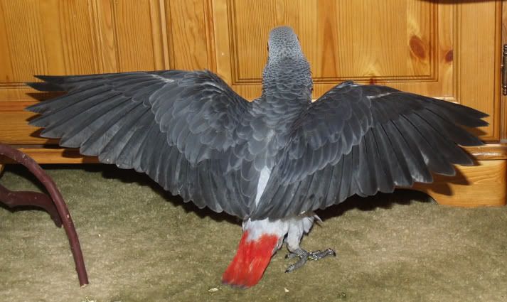 kito1.jpg