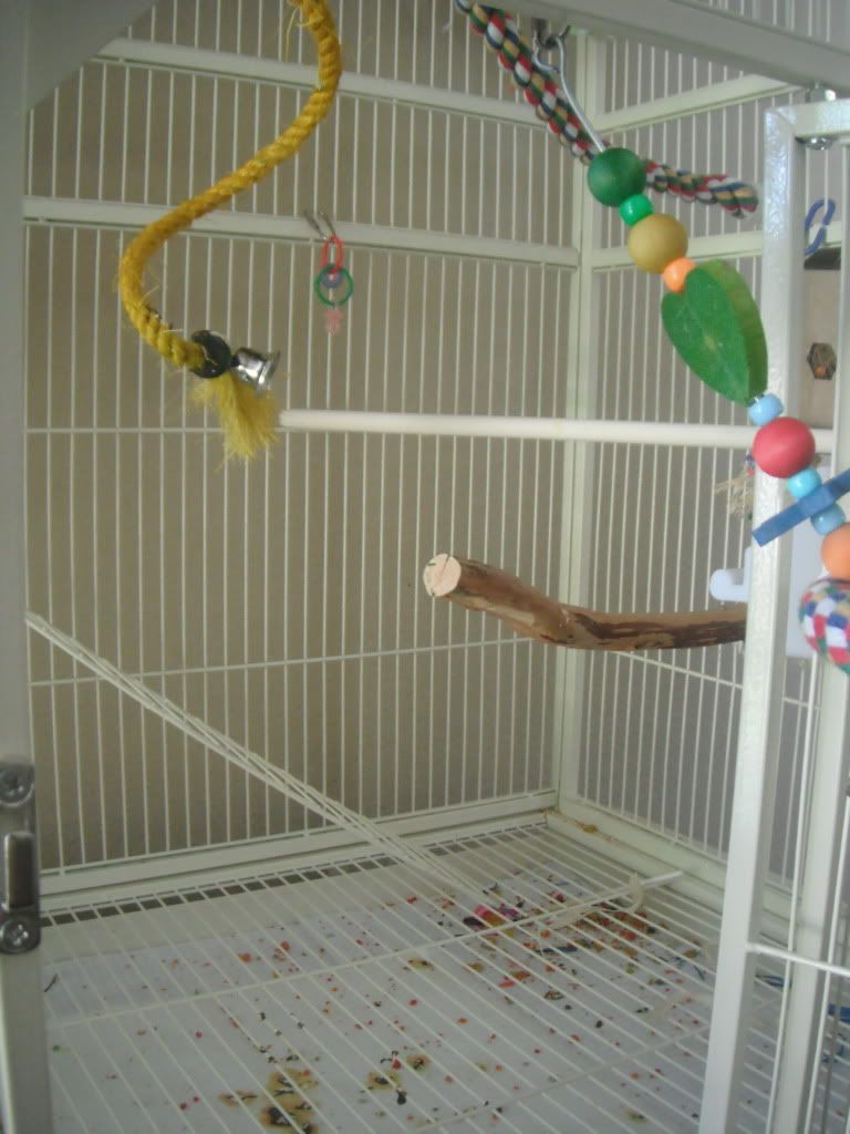DSCF2684.jpg