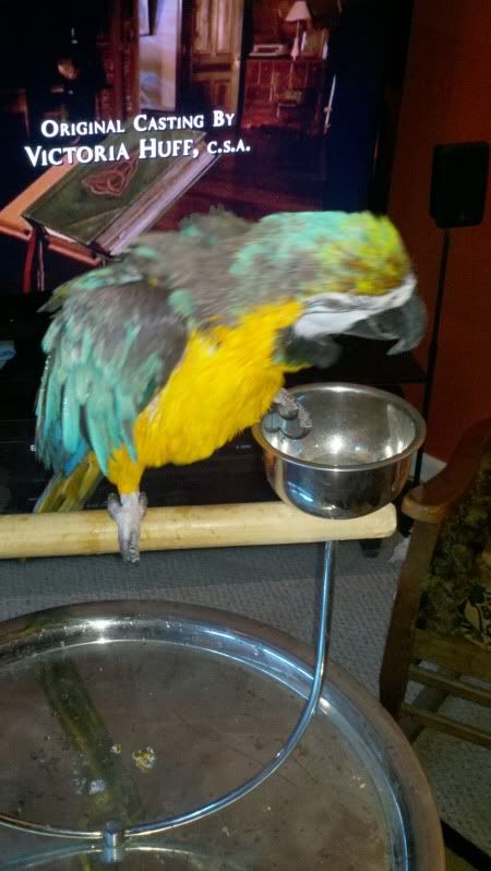 2012-03-02_18-54-42_586.jpg