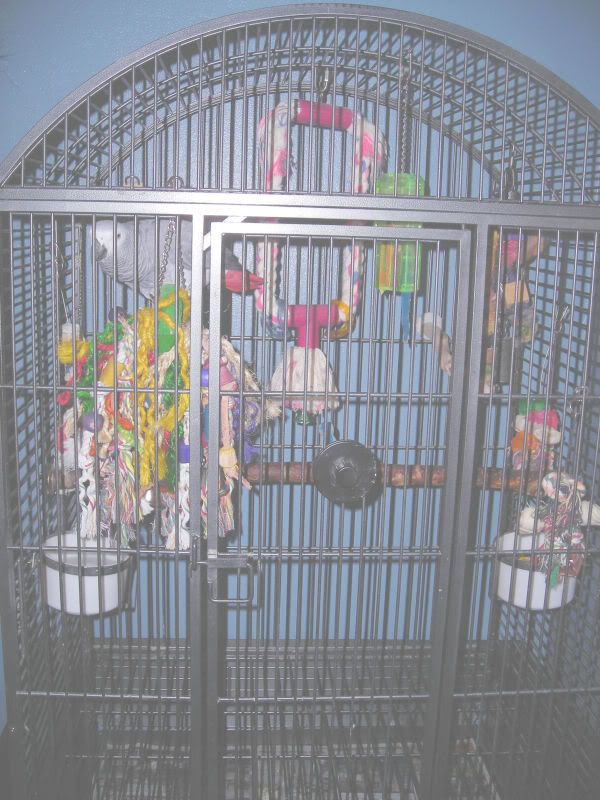 cage1.jpg