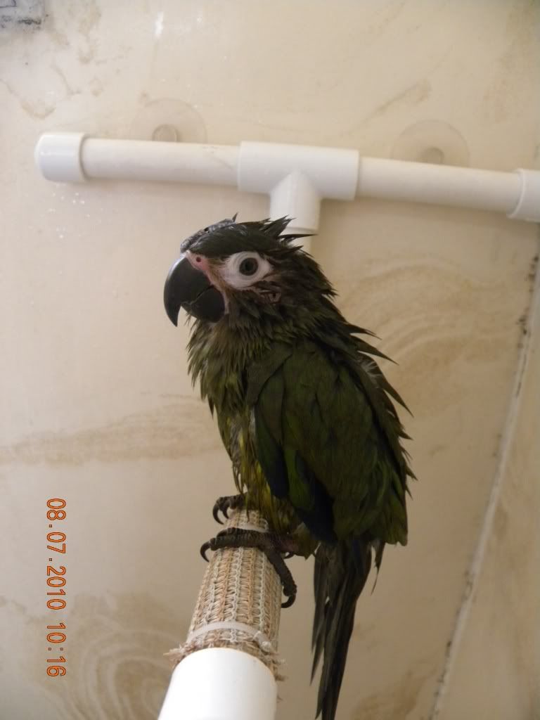 DSCN2802.jpg