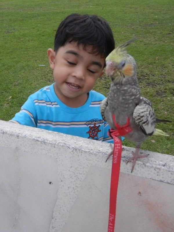 DSCN2106.jpg
