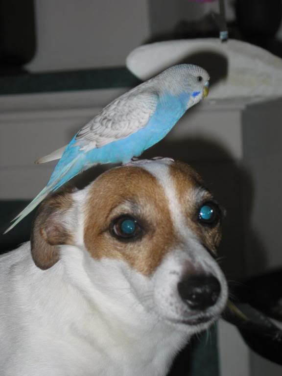 theboys049.jpg