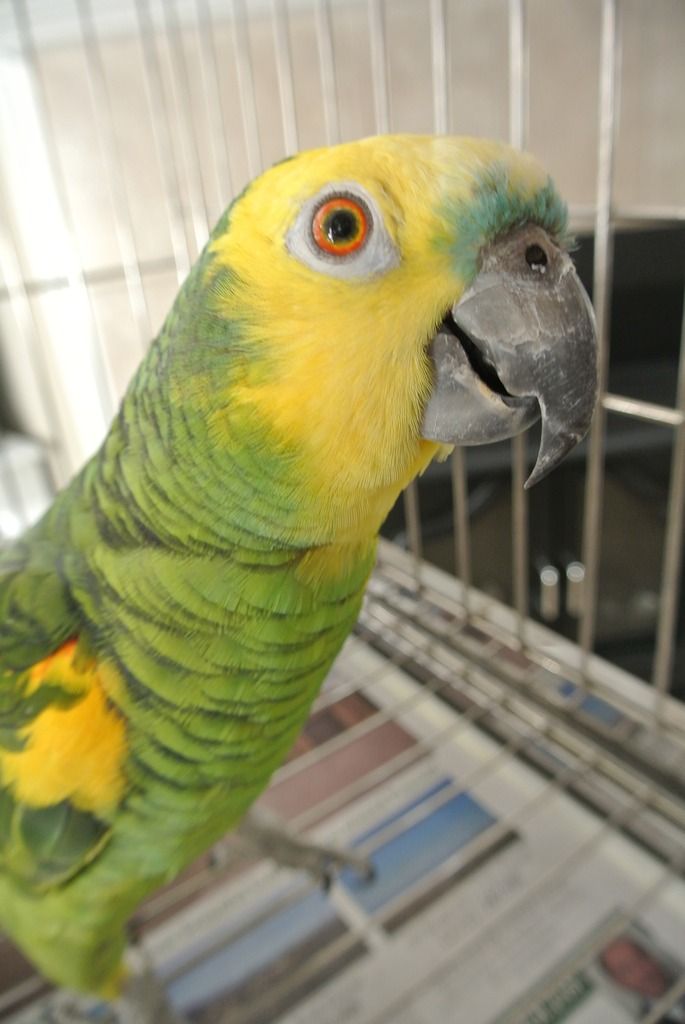 DSC_9674_zpsqlkdndlq.jpg