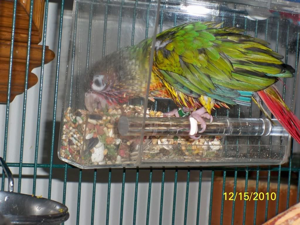 Memo121510.jpg