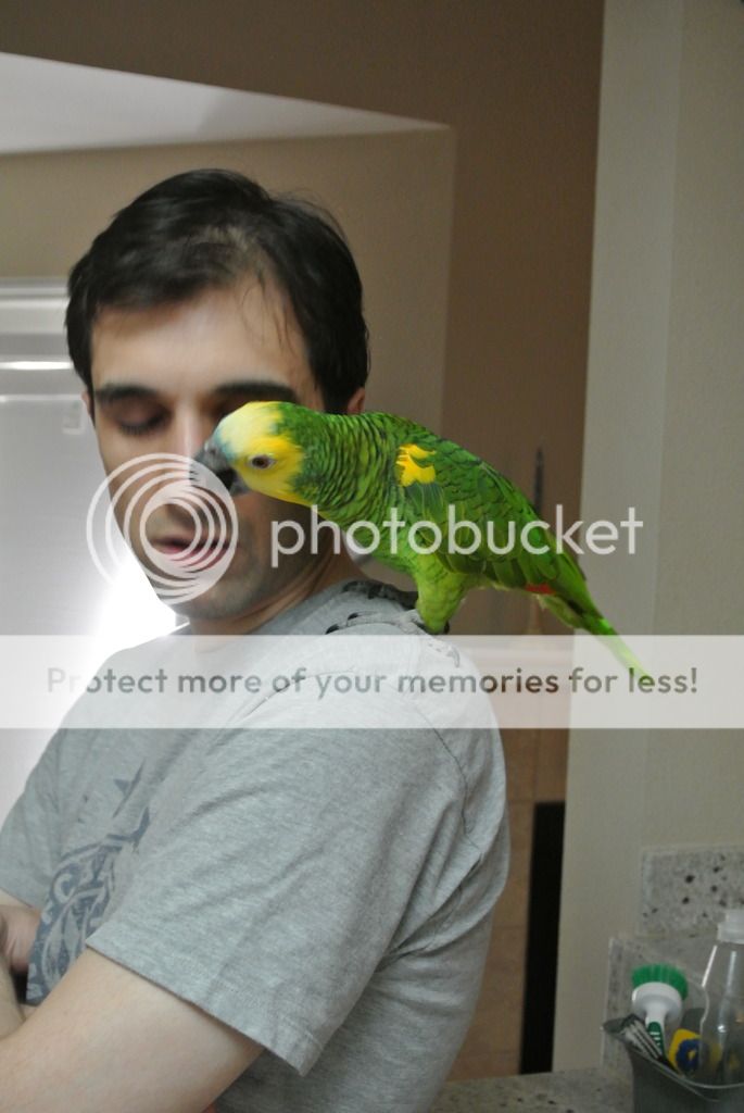 DSC_9815_zpsoodwtfqt.jpg