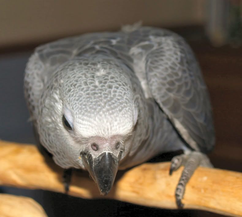 kito2.jpg