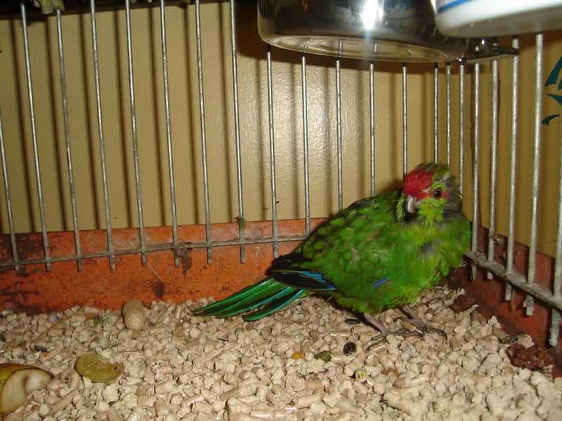 DSC00840.jpg