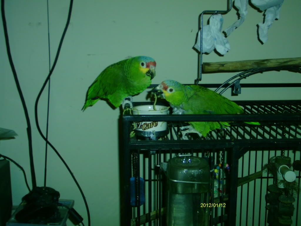 IMAG2086.jpg