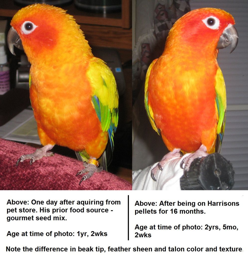Skittles%20-%20PS%2002%2006.jpg