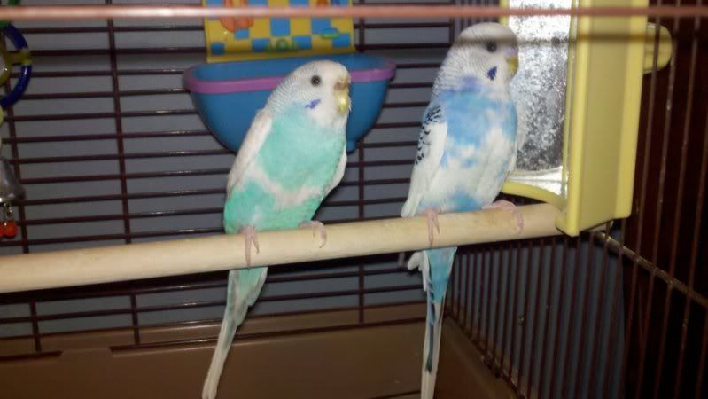 574865523_photobucket_43620_.jpg