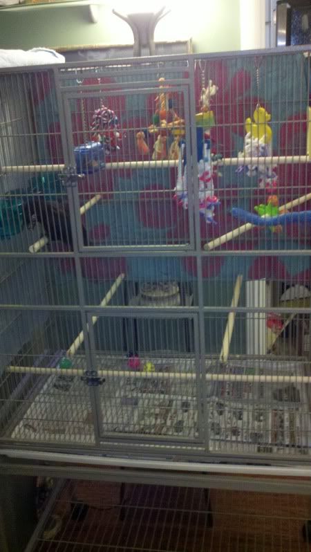 2011-10-31_18-55-11_113.jpg