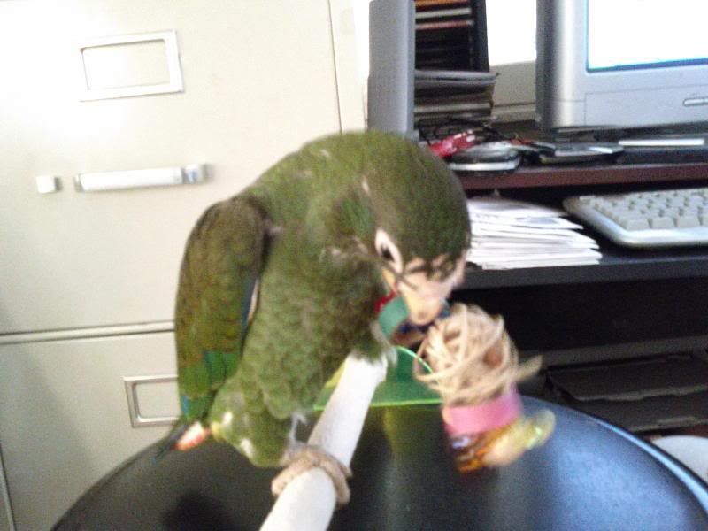 playing.jpg