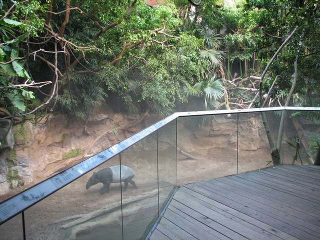 bronxzoo81.jpg