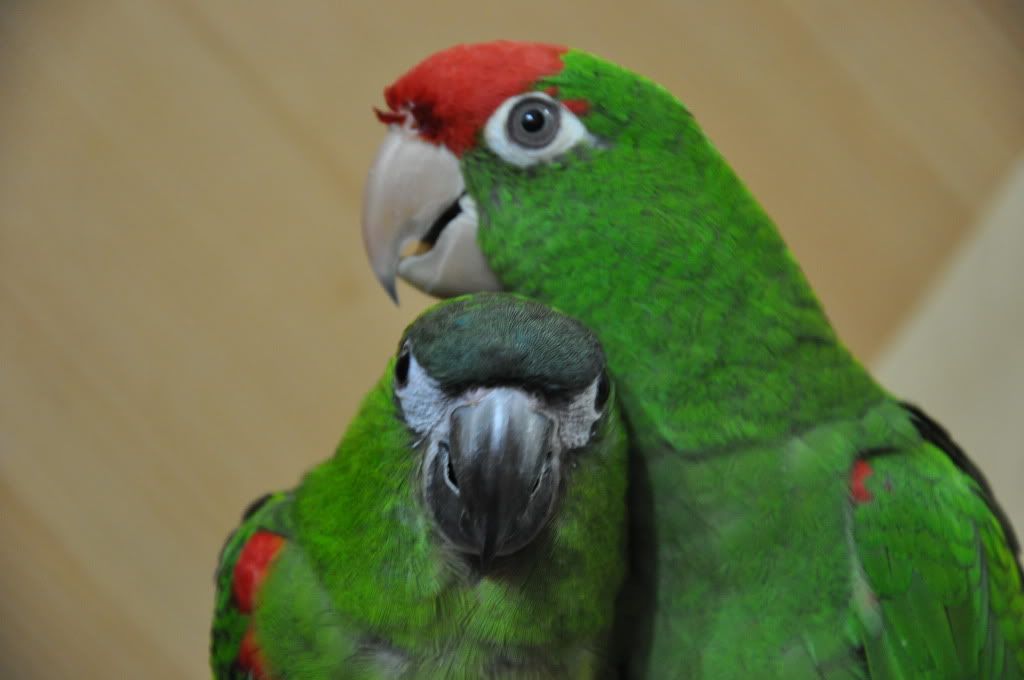 DSC_0830.jpg
