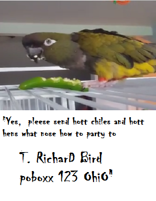 0iYaBhT.png