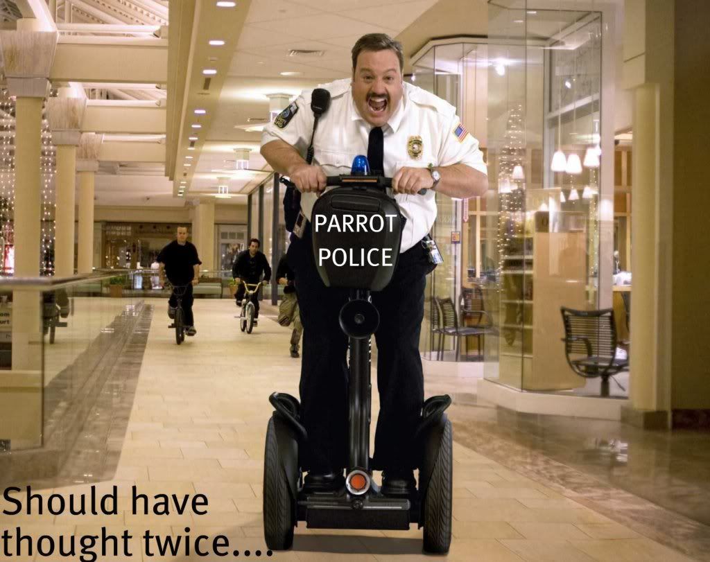 2009_paul_blart_mall_cop_002.jpg