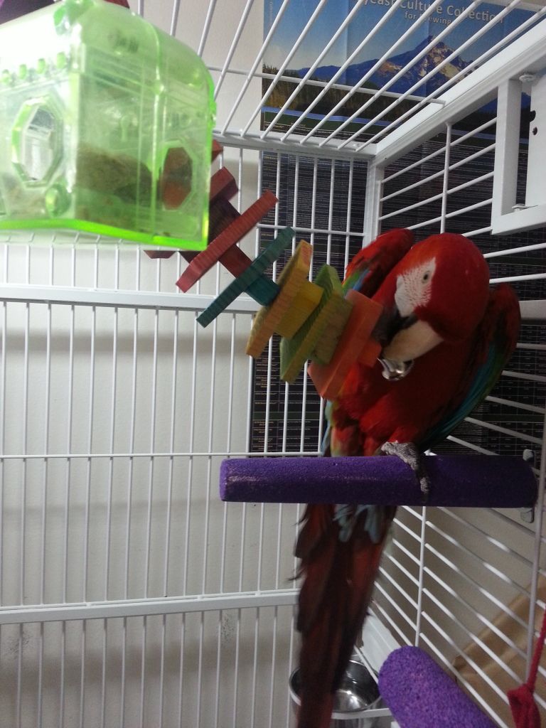 20130212_133600.jpg