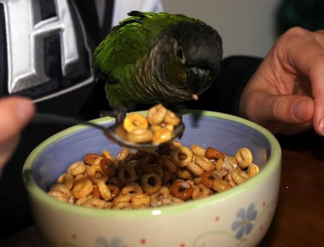 cereal1.jpg