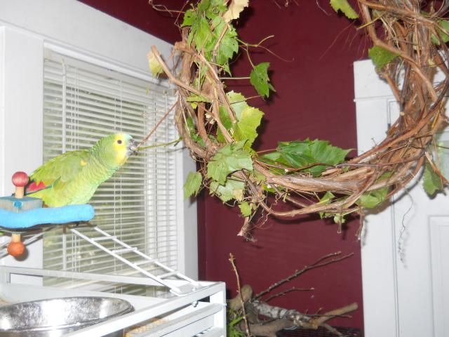 DSCN0474_zpsec6dc8de.jpg