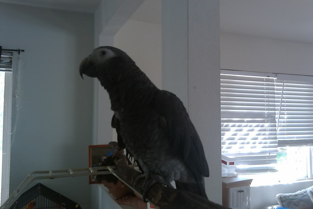 IMAG0097.jpg
