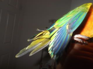 DSCF1154.jpg