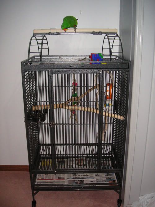 Eddiesnewcage.jpg