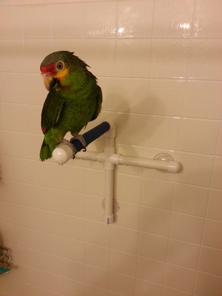 20130101_205729.jpg
