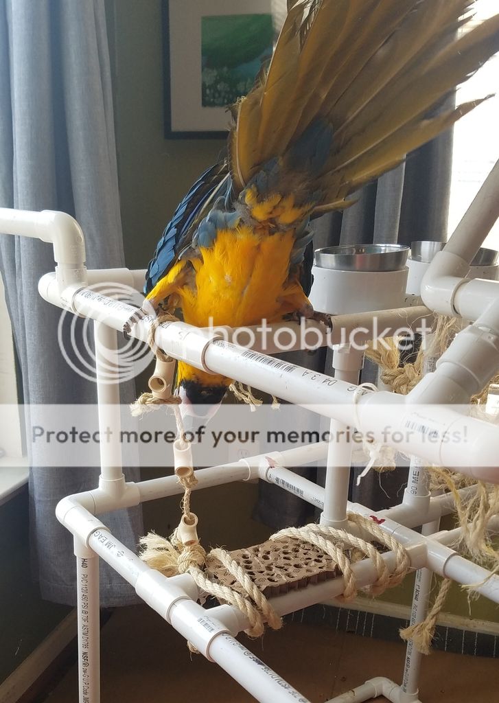 20190209_104244_zpsdfqwsf4m.jpg