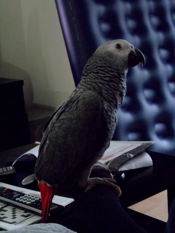 SAM_0669.jpg