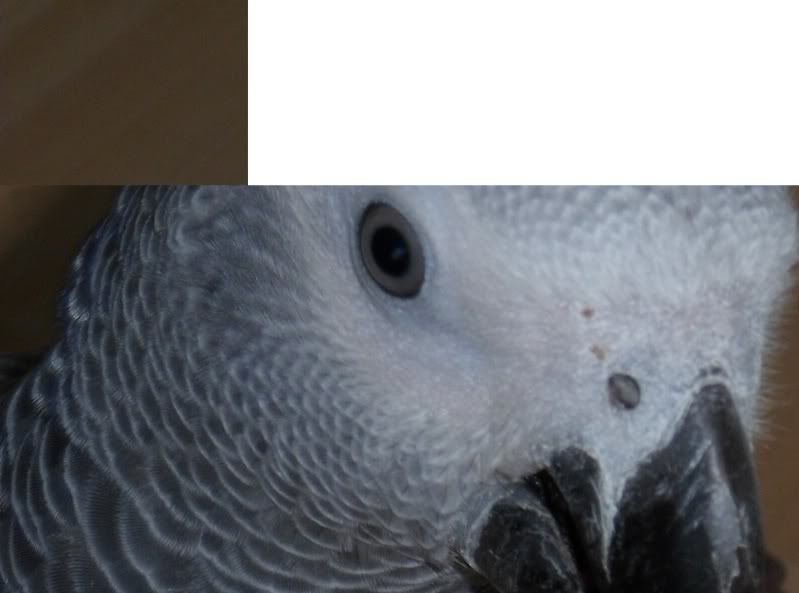 oscarouch.jpg