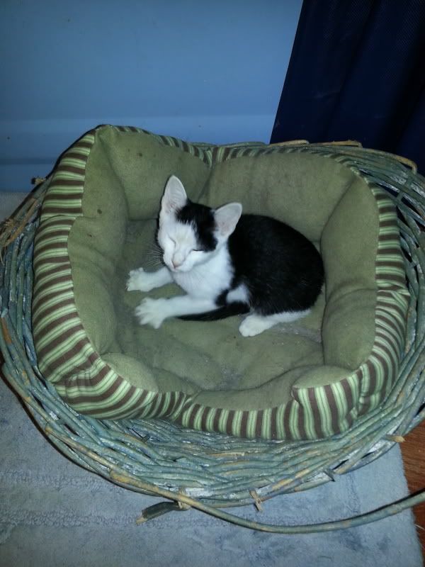 20130904_221137_zpsa14dde15.jpg