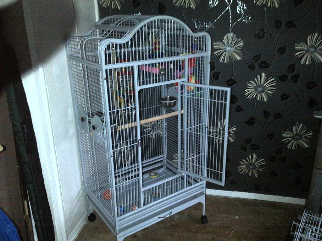 Newcage2.jpg